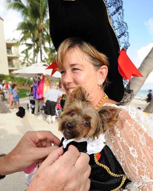 Pet Masquerade and Parade 2009 photo - Duval Street, Key West